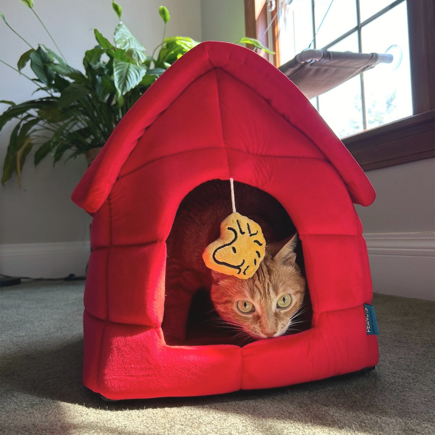 An orange cat sitting inside of a red peanuts snoopy dog house pet bed.