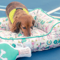 Dog lying on a colorful pet bed with a blue background