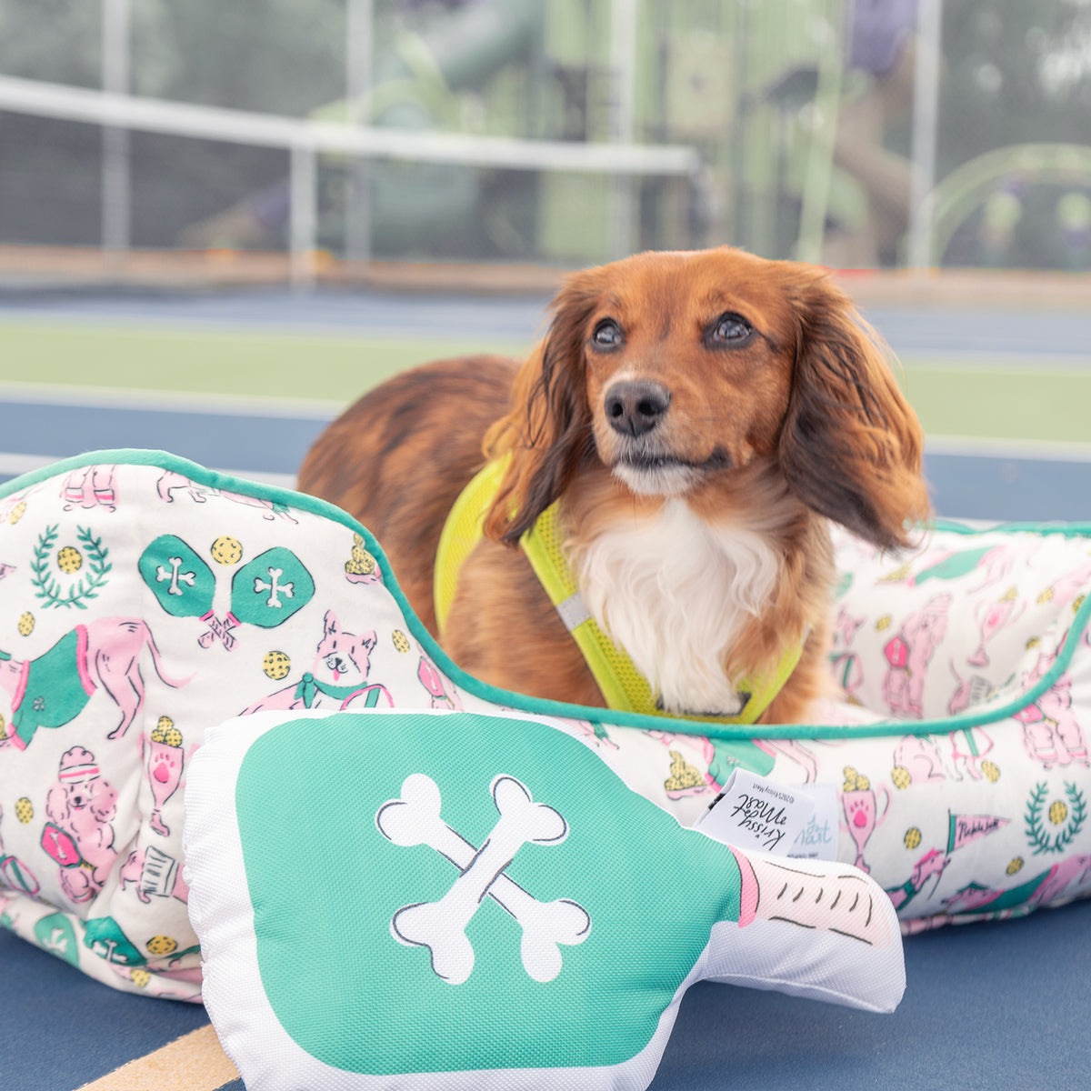 Dog lying on a colorful dog bed with a tennis court in the background