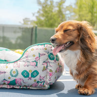 Dog playing with a colorful dog bed outdoors