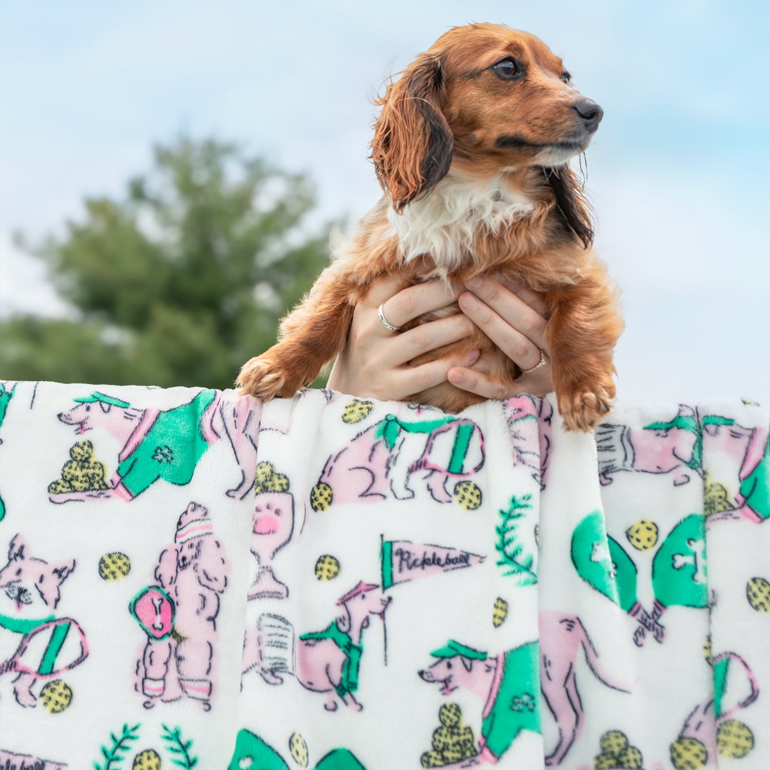 Person holding a small brown dog with a patterned blanket featuring cartoon dogs in the foreground.