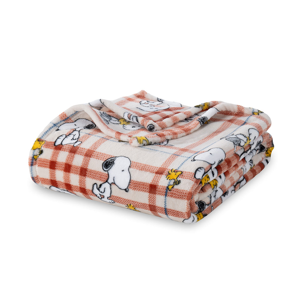 Plaid blanket with cartoon characters on a white background