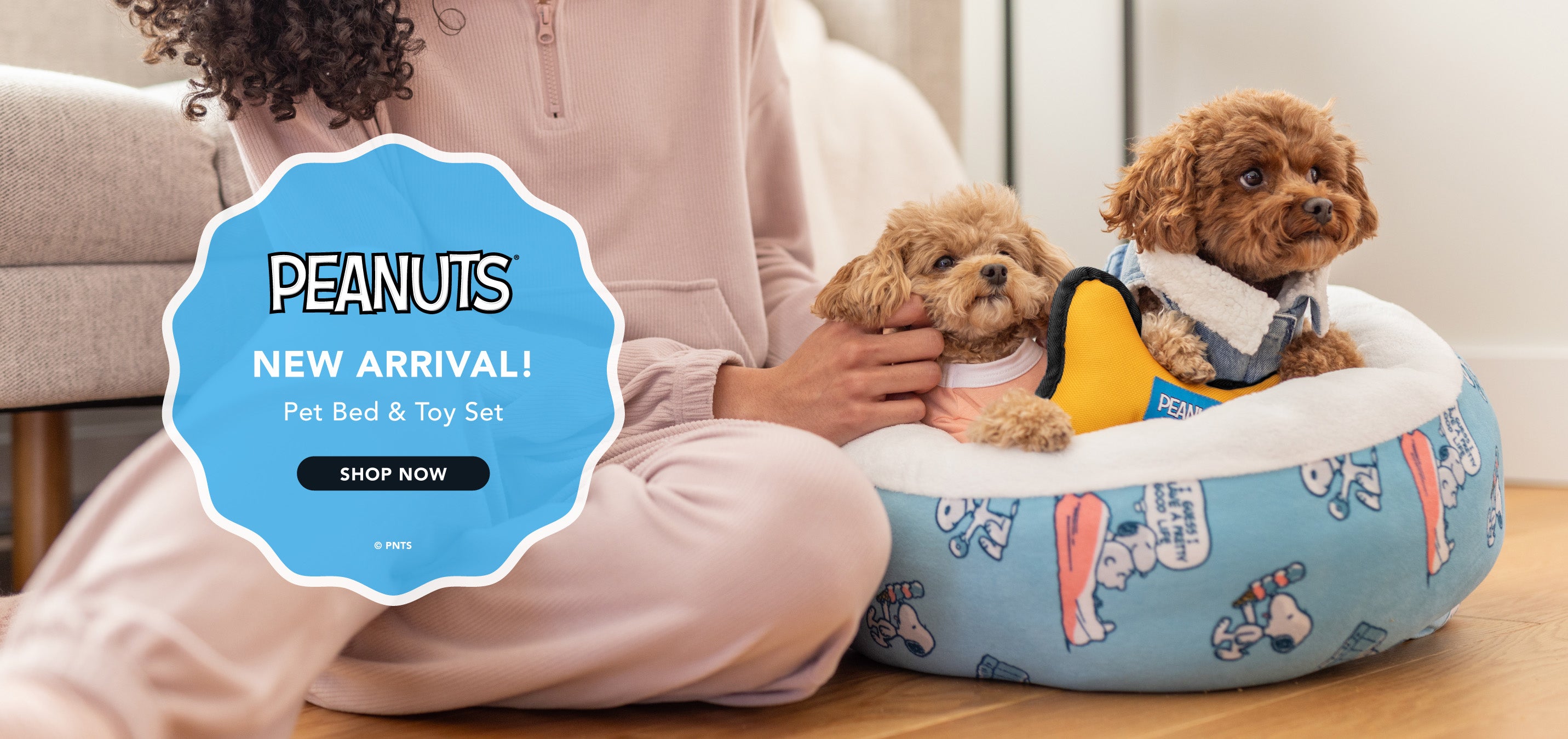 New arrival: Peanuts Pet Bed & Dog Toy Set featuring two dogs sitting in a Peanuts printed dog bed.