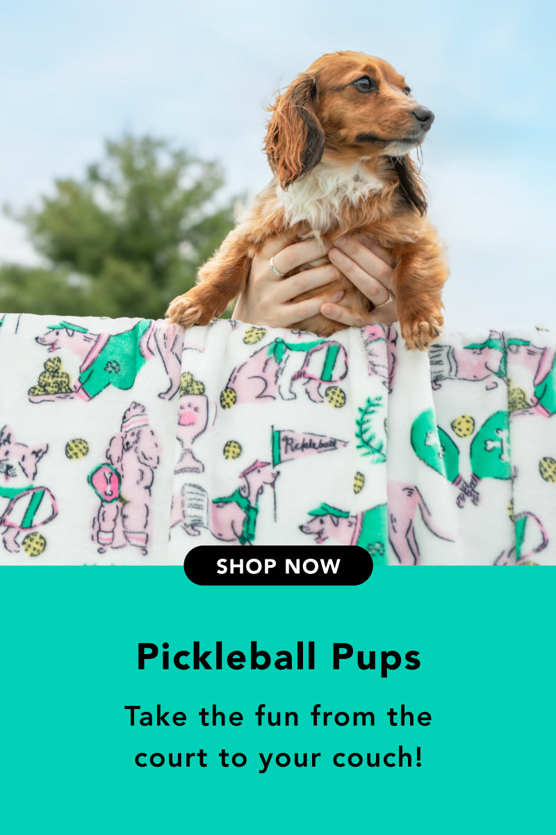 Image of a decorative pillow featuring a corgi and pickleball equipment, shot on a pickleball court with a miniature dachshund. text reads, "Pickleball Pups. Take the fun from the court to your couch!"