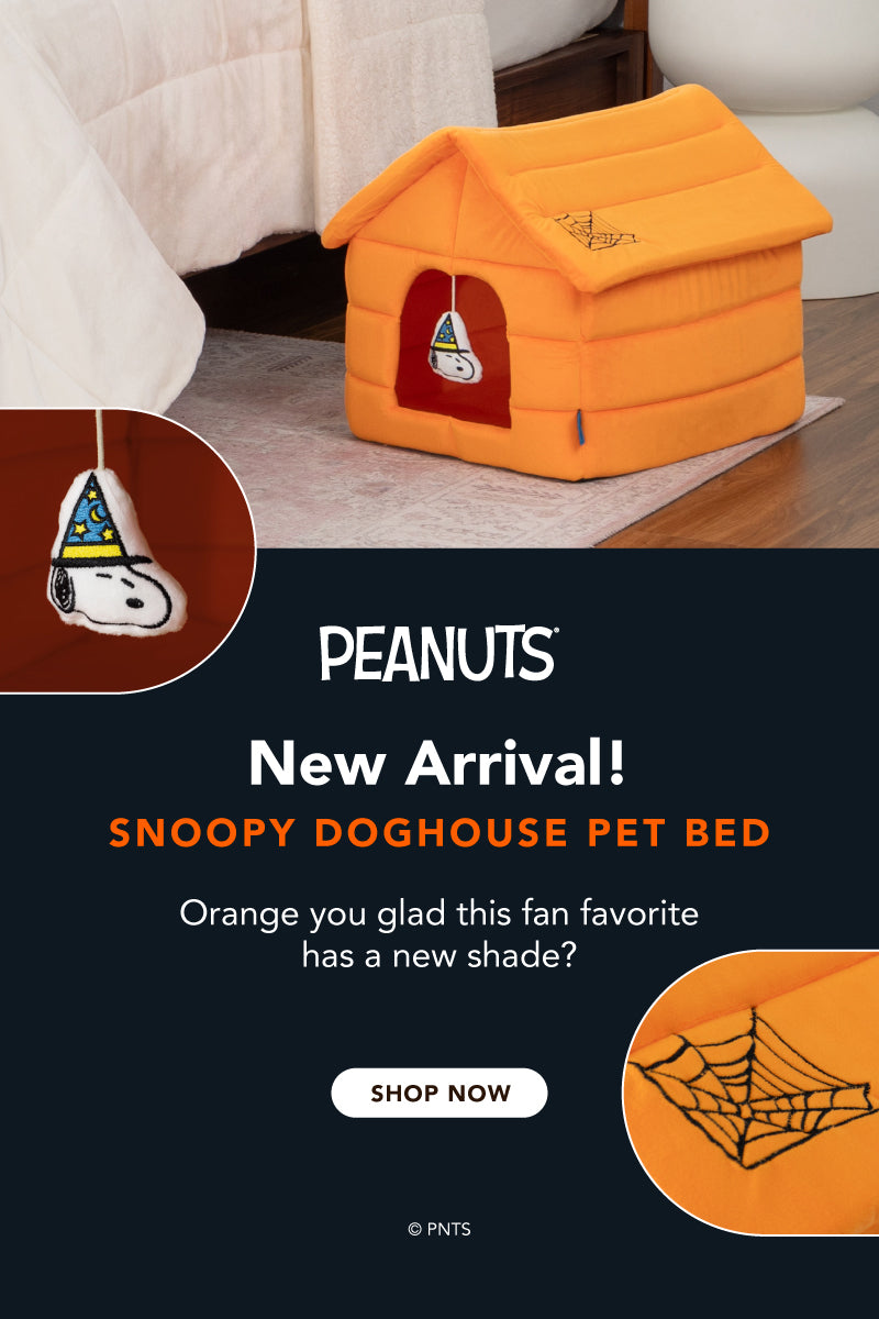 Title: New Arrival!
Sub-Title: Orange you glad this fan favorite has a new shade?
