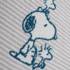 Close up of a Peanuts striped MellowSoft Throw.