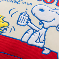 Close up of a Peanuts Social Club Pillow, displaying the embroidery.