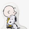 Close up of a Charlie Brown & Snoopy embroidered pillow.