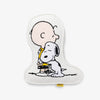 Charlie Brown & Snoopy embroidered pillow sitting on a white surface.