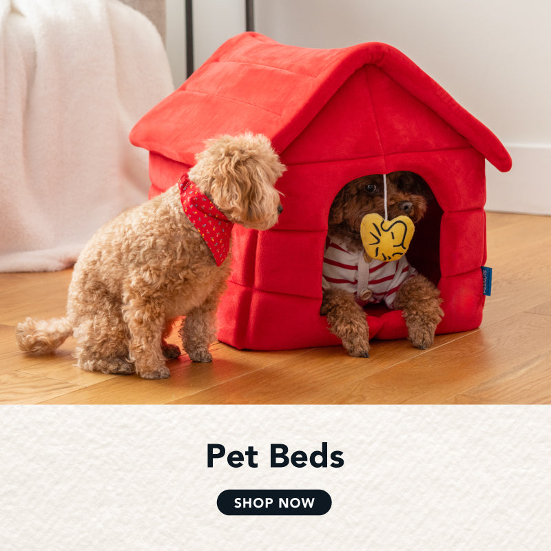 Shop Peanuts pet beds!