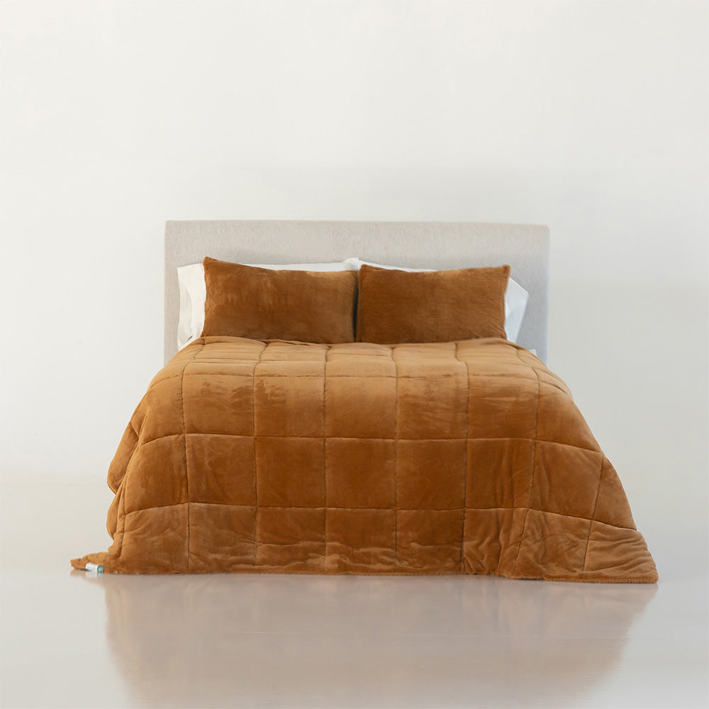 Berkshire discount velvet blanket