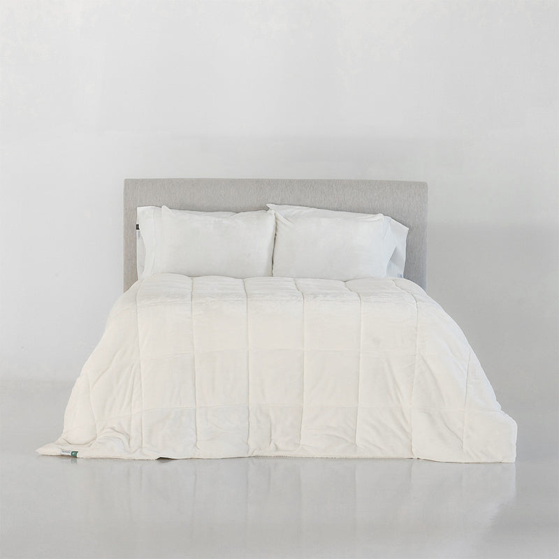Clearance Bedding Berkshire Blanket Inc